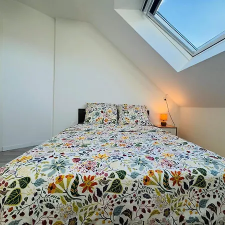 Le Shelter Apartment Le Mans